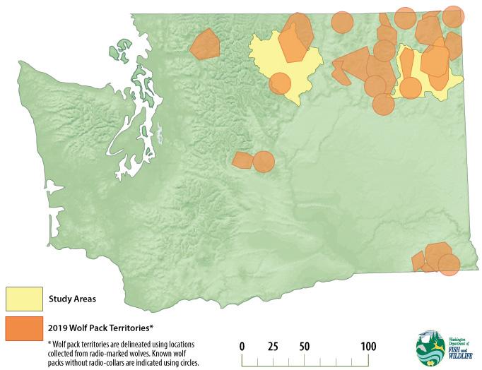 Washington state map showing the predatory/prey study areas with wolf pack ranges overlaid on top.