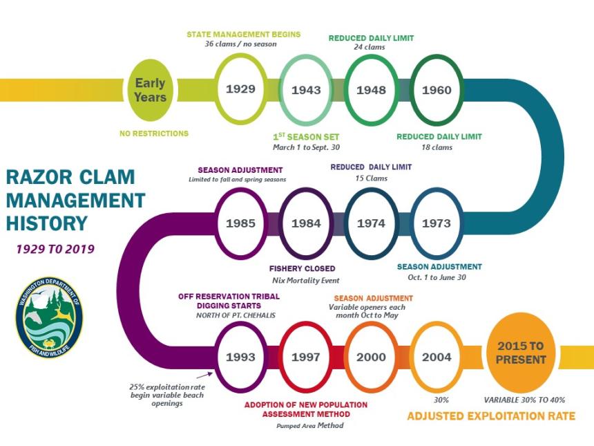 Graphic showing a timeline of razor clam management 1929-2019