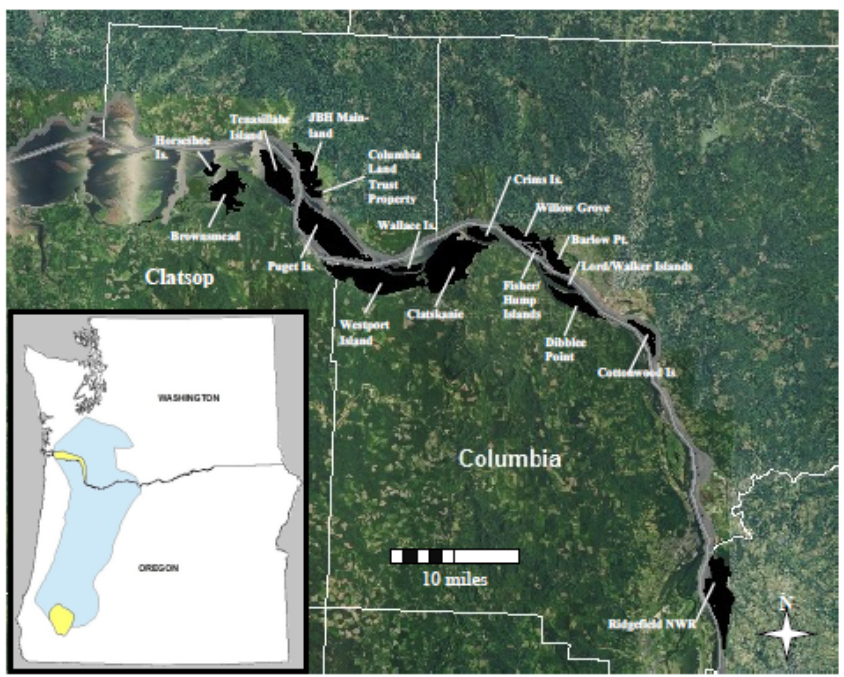 An aerial map of the lower Columbia River shows 16 locations occupied by Columbian white-tailed deer.