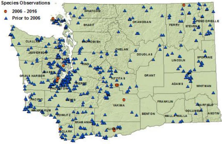 Common gartersnake distribution map of Washington as of 2016: all counties but Benton and Franklin