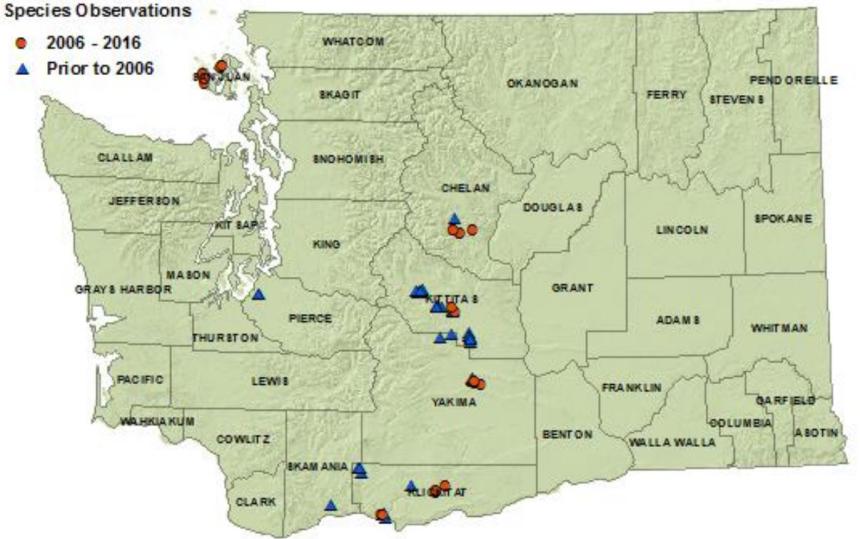 2016 common sharp-tailed snake state distribution map: San Juan, Skamania, Klickitat, Chelan, Kittitas, Yakima counties