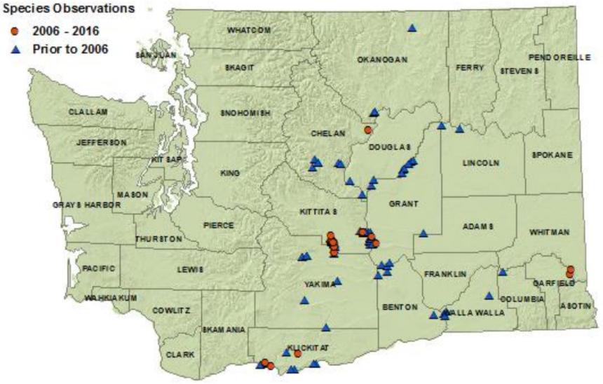 Northern desert nightsnake detection map:all eastside counties except Ferry,Stevens,Pend Oreille,Spokane,Whitman,Adams,Asotin