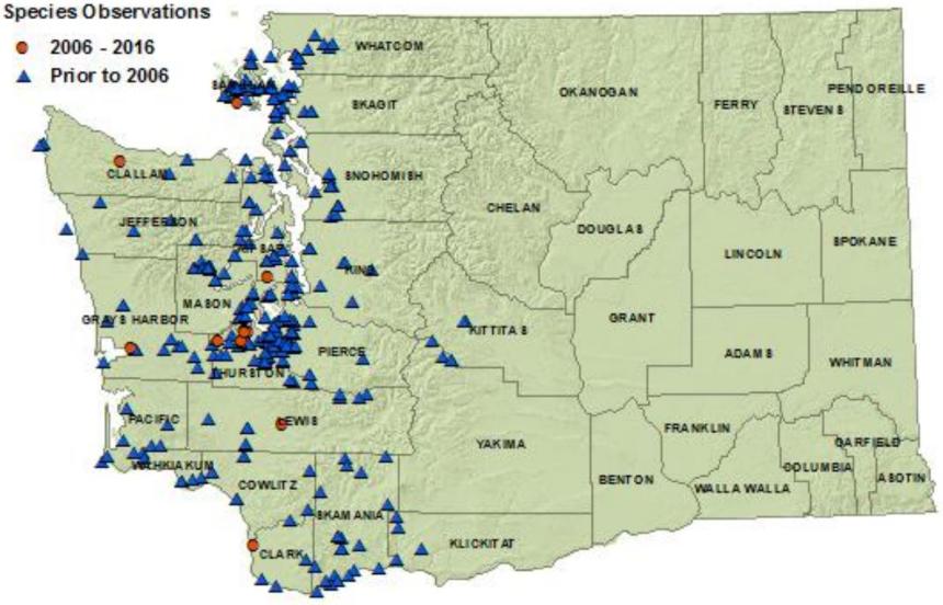 2016 Northwestern gartersnake state distribution map: all westside counties plus Skamania,Kilckitat,Yakima,Kittitas 