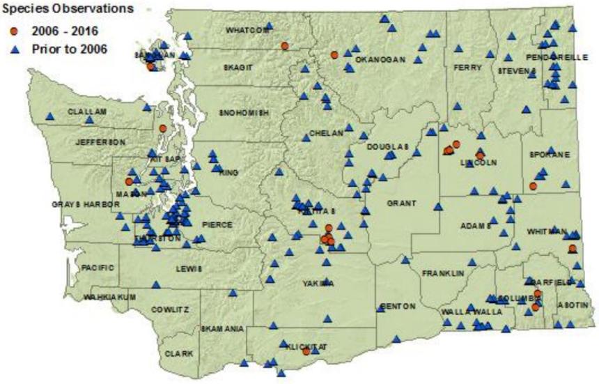 Terrestrial northwestern gartersnake state detection map:all counties but Pacific,Wahkiakum,Cowlitz,Clark,Garfield