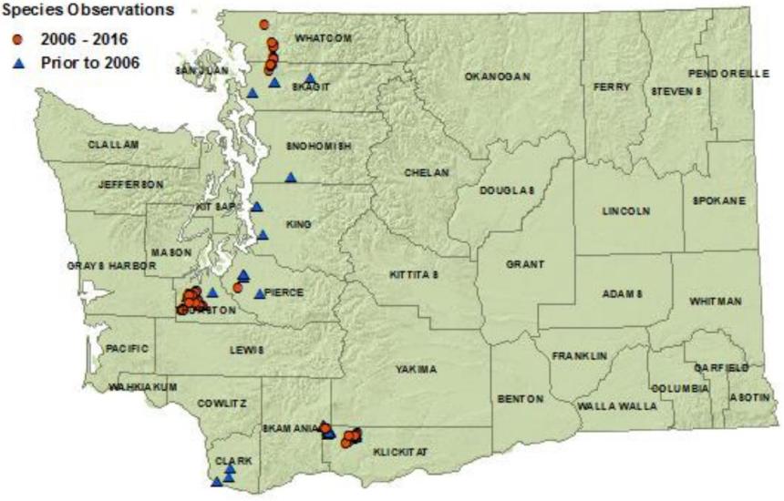 Oregon spotted frog state distribution