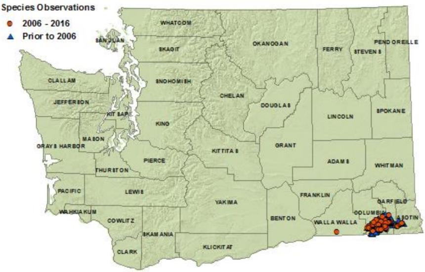 Rocky Mountain tailed frog Washington distribution map as of 2016:4 eastern counties:Walla Walla,Columbia,Garfield,Asotin