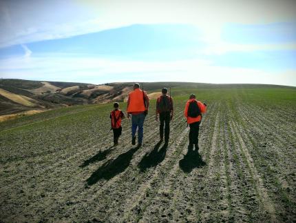 Father and three sons wearing hunter orange and holding rifles walking out into a field