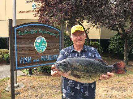 An angler holds up a huge largemouth bass in front of a WDFW regional office.