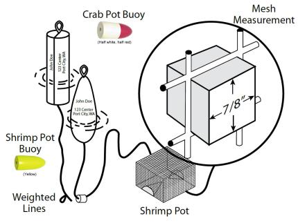 Diagram showing how to connect a buoy to a shrimp or crab pot
