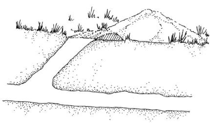 A drawing shoes the position and depth of a pocket gopher tunnel.