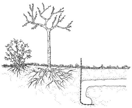 A drawing shows a fence built underground to prevent gopher tunnels under gardens. 