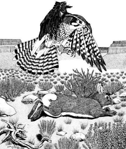 A drawing shows a rabbit running from a predatory hawk.