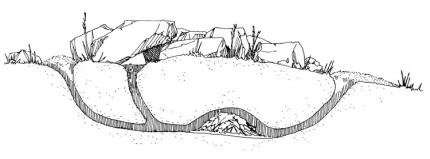 A drawing shows the layout of a rats underground burrow.