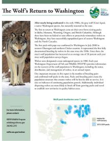 a screenshot of the cover of the wolf brochure