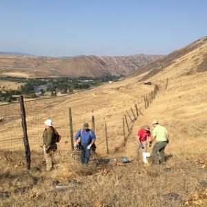 Several people working to remove a fence in the grasslands 
